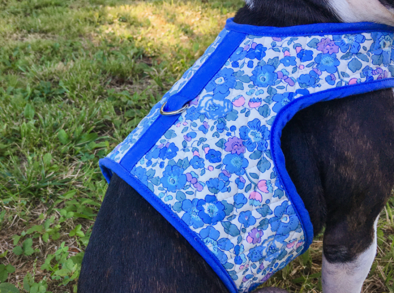 Dotoner Imbracatura Per Cani Di Sollevamento,Imbracatura Per Cani Zampe Posteriori,Per Il Dorso E Il Riabilitazione Delle Zampe Dei Cani,Supporto Regolabile Per Cani Anziani Feriti Media Grande - Foto 10