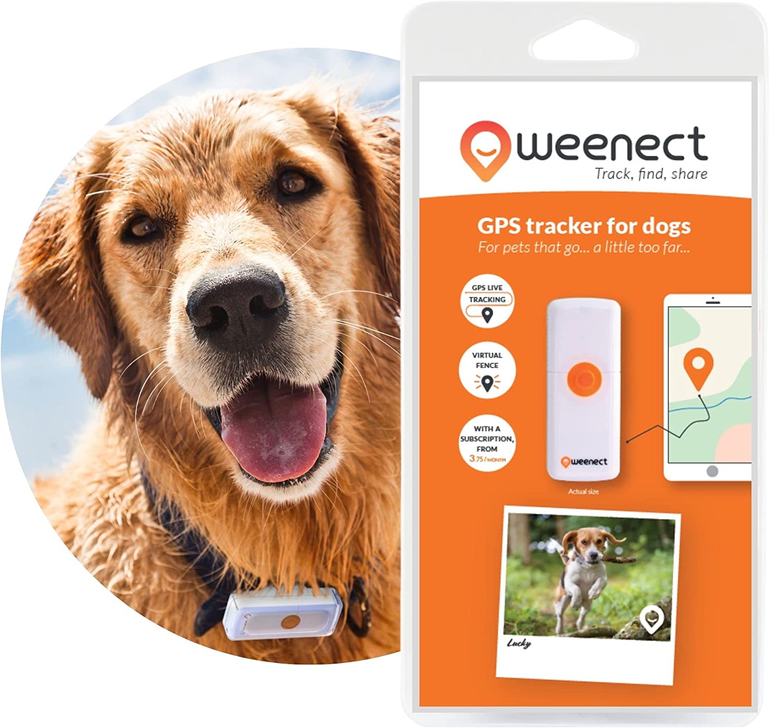 Weenect Collare GPS Per Cani