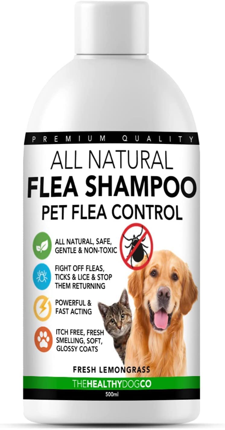 The Healthy Dog Co All Natural Shampoo Antipulci